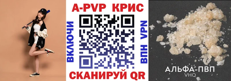 A PVP СК КРИС  Невинномысск 
