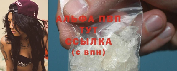 СК Новодвинск