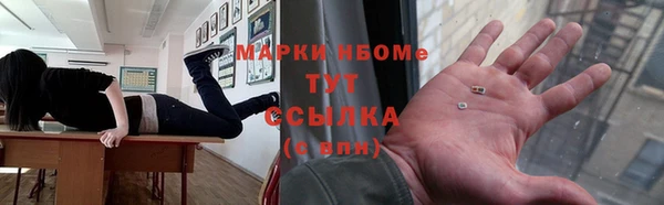 твердый Новокубанск
