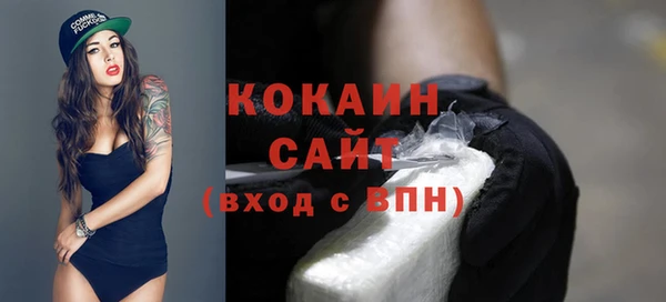 СК Новодвинск