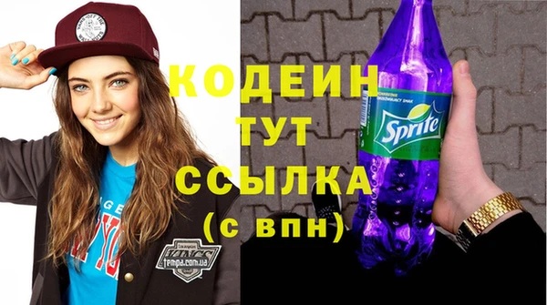 СК Новодвинск