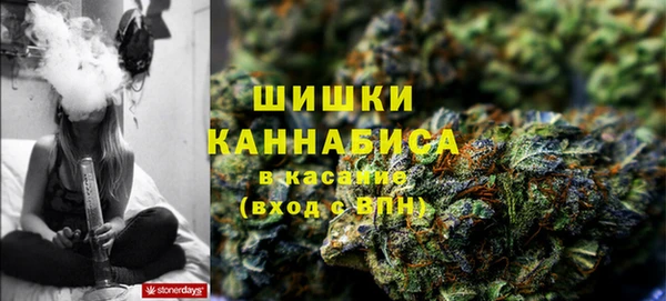 СК Новодвинск
