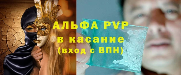 СК Новодвинск