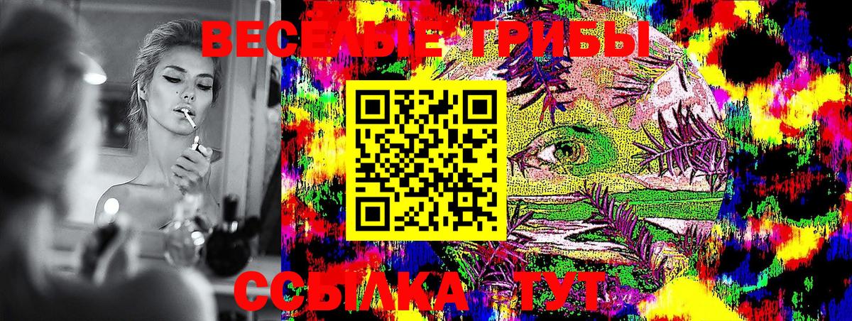 Псилоцибиновые грибы мицелий Невинномысск