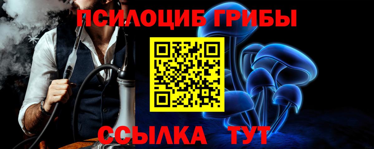 Невинномысск  Псилоцибиновые грибы ЛСД  Галлюциногенные грибы Psilocybine cubensis  даркнет сайт  Вход с VPN 